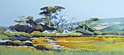 Biedouw Valley Farm in Spring | 2013 | Oil on Canvas | 46 x 64 cm
